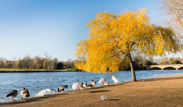 Read more about the article The Ultimate List of Things to Do in London as Muslim Travelers